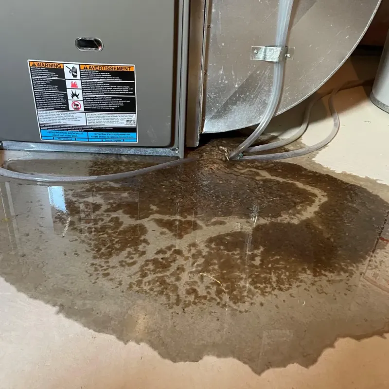 Appliance Leak Cleanup in Munhall, PA